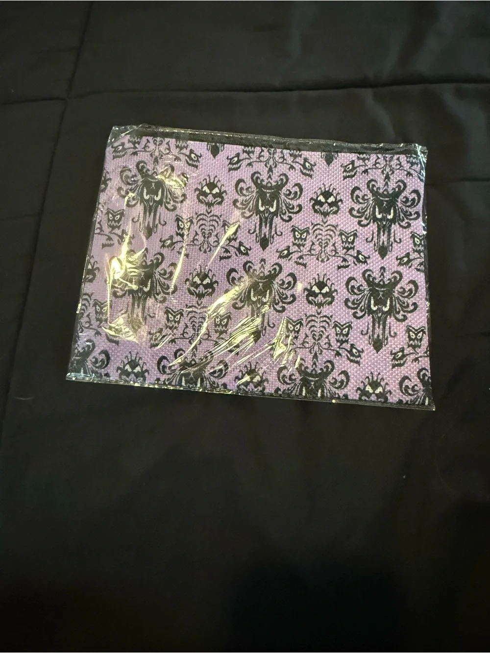 Haunted Mansion Makeup Bag